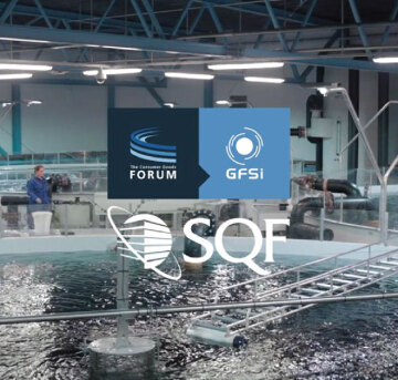 Our Processes, Blue Wave's Commitment to Quality Assurance