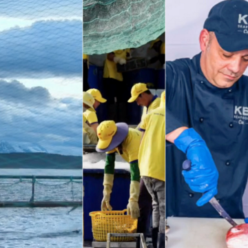 Our Processes: Blue Wave's Commitment to Ethical Practices