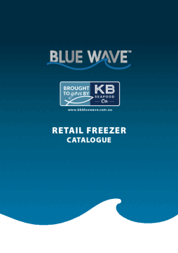 Blue Wave Retail Freezer Brochure
